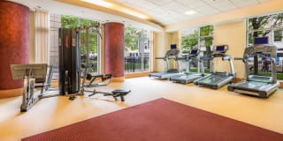 The West End Apartments-Asteria, Villas and Vesta Gallery 45