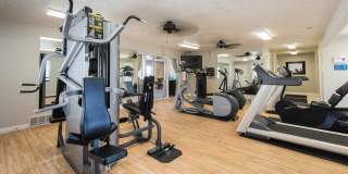 Orchard Cove Gallery 10