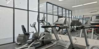 The Fifty at Division Gallery 16