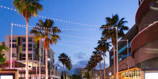 Alister Sherman Oaks Gallery 22