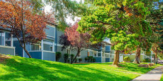 Village of the Pines Village of the Pines Gallery 1