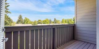 Spring Woods Gallery 18