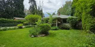 Country Garden in City Limits Gallery 1