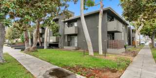 10310 Regent Apartments Gallery 2