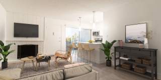 Ocean Club Gallery 2