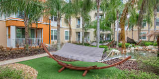 RIZE at Winter Springs Gallery 6