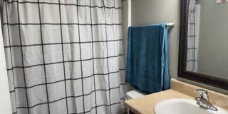 3356 Fort Collins Lane Gallery 8