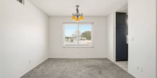 833 Cinnamon Gallery 8