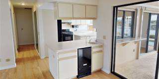 3950 San Pietro Ct Gallery 7
