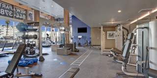 The Pacific Gallery 14