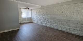The Pines Apartments Gallery 7