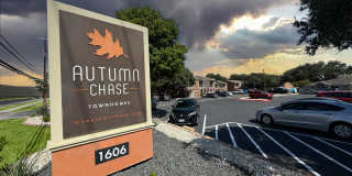 Autumn Chase Gallery 1