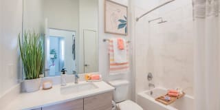 Altis Little Havana Gallery 9