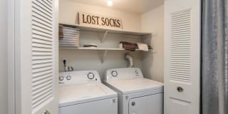 Walden Pond Gallery 39