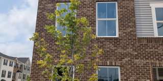 8048 WILLIAMSON Boulevard Gallery 1