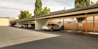 Parthenia Terrace Apartments Gallery 41