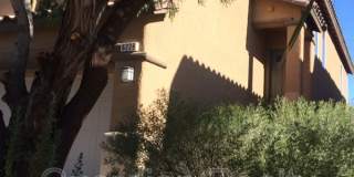 6228 Senegal Haven St Gallery 1