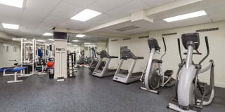 Carillon House Gallery 17