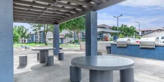 Rise Skyview Gallery 94