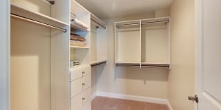 The Springs Gallery 24