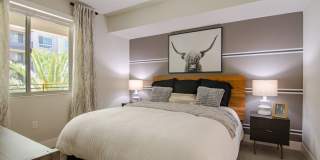 Vive on the Park Gallery 4