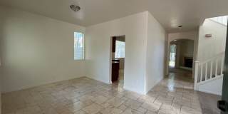 Large Corner Lot Gallery 3