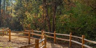 Alder Walk Gallery 5