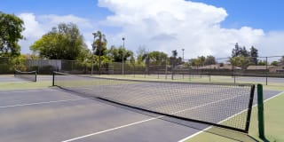 Park West Gallery 12