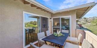 3519 Paseo Flamenco Gallery 27