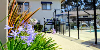 La Jolla Canyon Gallery 26