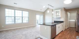 5906 Whitebark Pine Trail Gallery 5