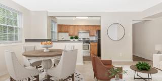Landmark Apartments Gallery 8