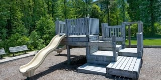 Stonehaven Gallery 13