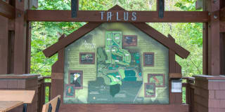 Estates at Cougar Mountain Gallery 36