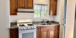 31305 Desert Moon Dr Gallery 5