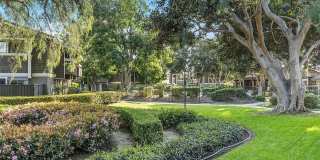 Move-In Ready 2BR | Fresh Paint | Unfurnished & Ready for Your Style Gallery 30