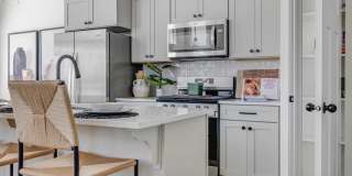 Mt. Rainier Gallery 15