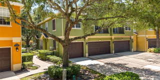 3310 PINE OAK Trail Gallery 24
