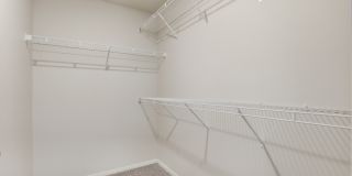 Buffalo Run Gallery 21