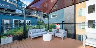 Arrive Magnolia Gallery 60