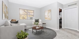 Emerald Apartments Gallery 3