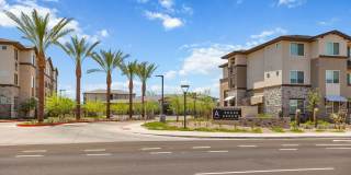 Prose Ascend Gallery 50