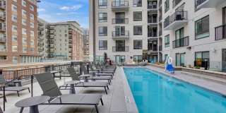 The Dorsey Gallery 13