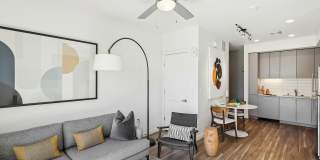 The Aviary Gallery 1