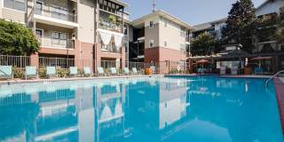 Monroe Place Gallery 6