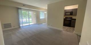 Northgate Gallery 234