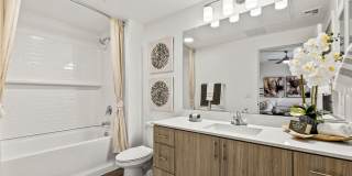 Amavida Marana Gallery 11