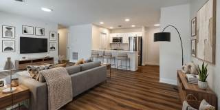 The Springs Gallery 22