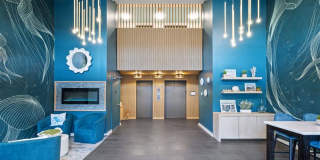 Oceana Gallery 24