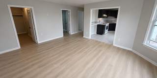 351 Montaup Street - 3W 351 Montaup Street - 3W Gallery 1